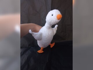 Товары для детей - Игрушки - Гусь-обнимусь