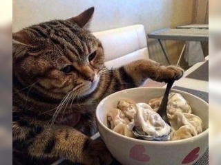 Услуги - Кулинария - Пельмени ручная лепка 