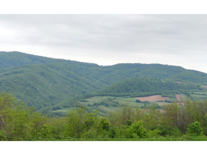 Недвижимость - Дома - Посуточная аренда апартаментов