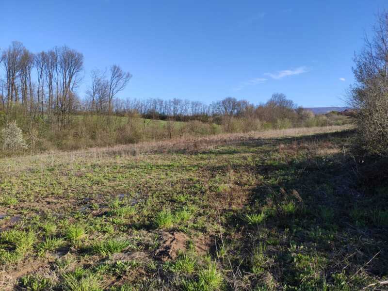 Недвижимость - Дома - Дом 130 кв.м., на участке 2 гектара 35 сотки. 