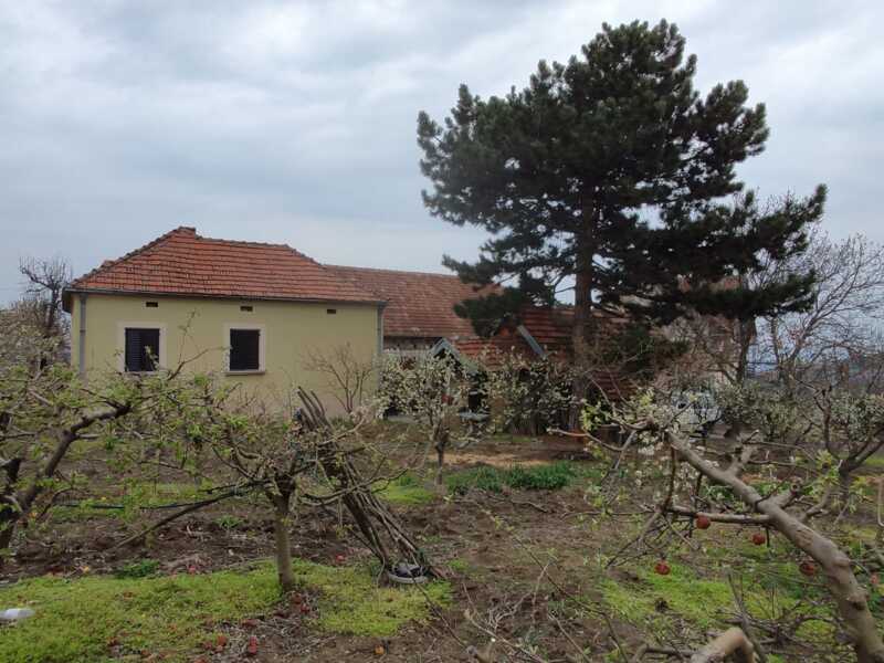 Недвижимость - Дома - Два дома 60 и 116 кв.м., 124,5 сотки. 