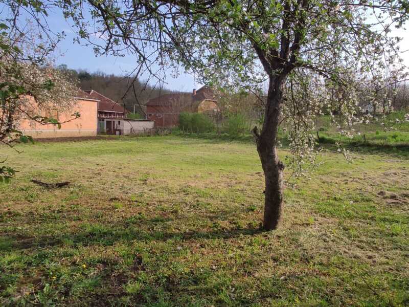 Недвижимость - Дома - дом 100 кв.м., на участке 41 сотка. с кузнецeй