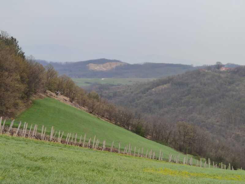 Недвижимость - Дома - Два дома 60 и 116 кв.м., 124,5 сотки. 