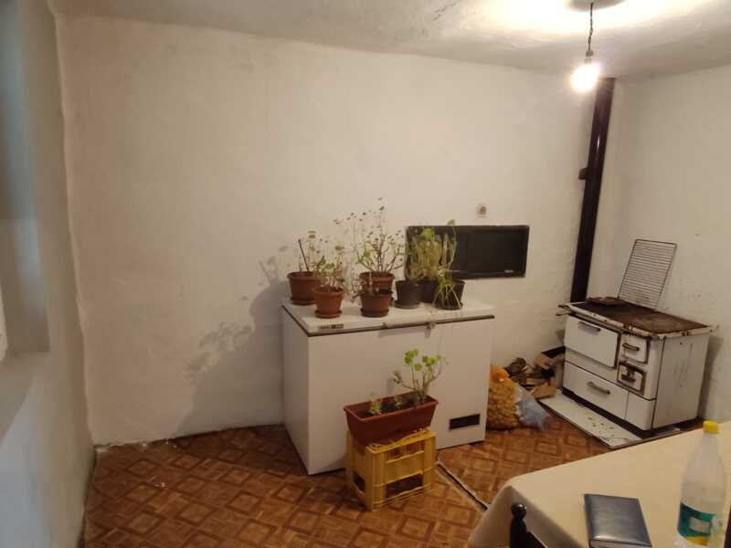 Недвижимость - Дома - Два дома 60 и 116 кв.м., 124,5 сотки. 