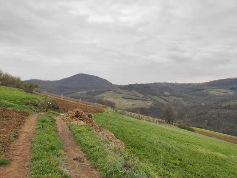 Недвижимость - Дома - Два дома 60 и 116 кв.м., 124,5 сотки. 