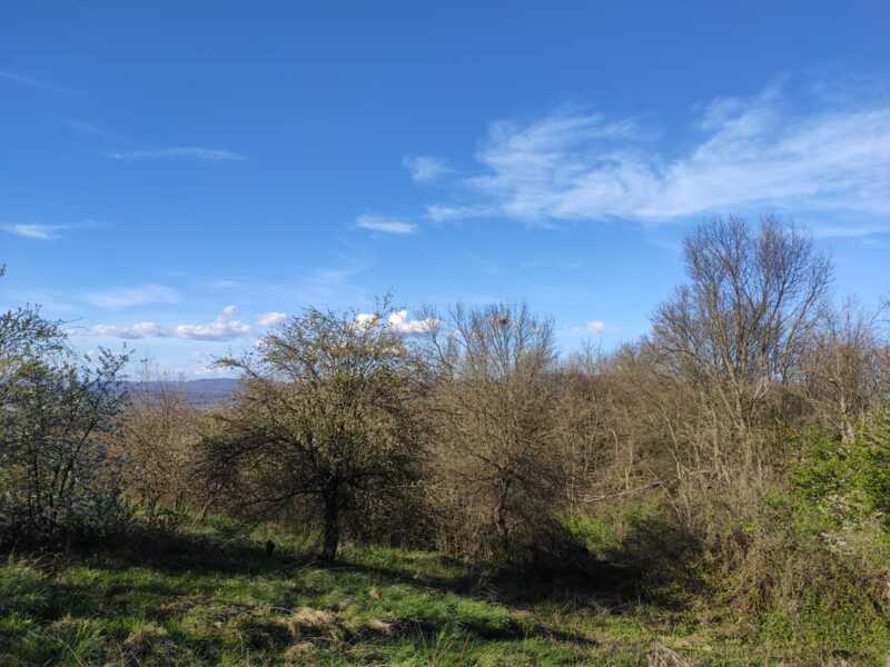 Недвижимость - Дома - Дом 130 кв.м., на участке 2 гектара 35 сотки. 