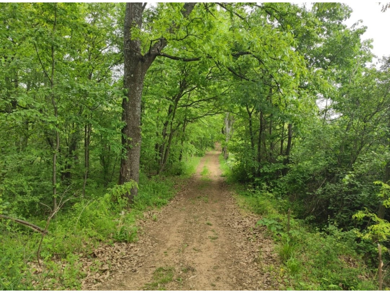 Недвижимость - Дома - Посуточная аренда апартаментов