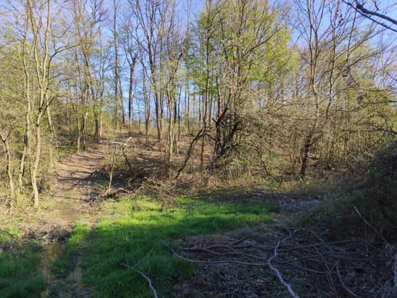 Недвижимость - Дома - Дом 130 кв.м., на участке 2 гектара 35 сотки. 