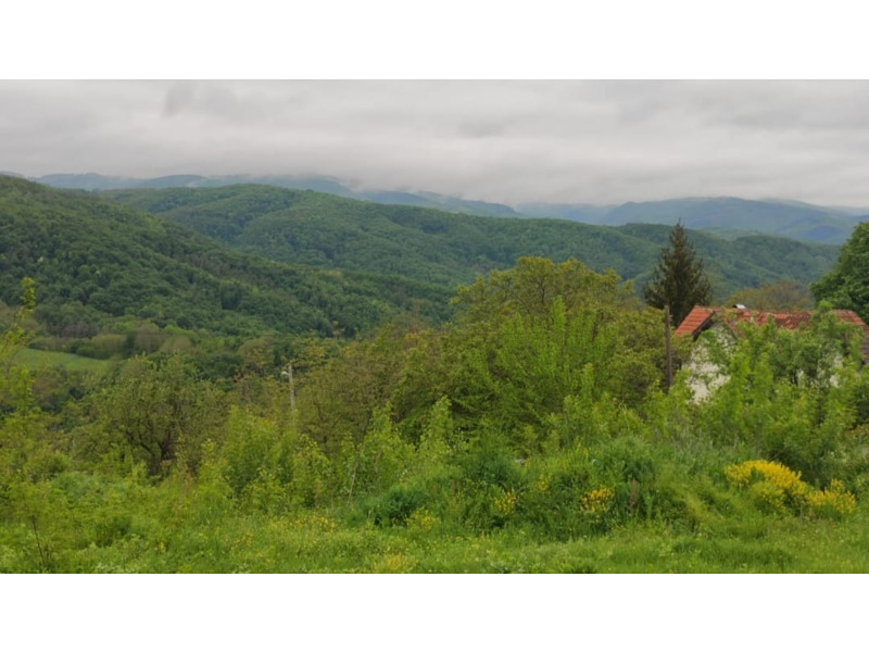 Недвижимость - Дома - Посуточная аренда апартаментов