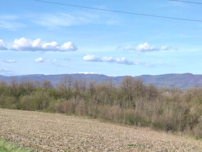 Недвижимость - Дома - Дом 130 кв.м., на участке 2 гектара 35 сотки. 