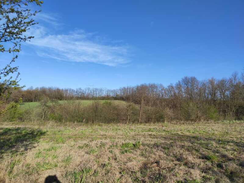 Недвижимость - Дома - Дом 130 кв.м., на участке 2 гектара 35 сотки. 