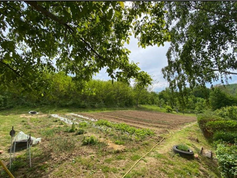 Недвижимость - Дома - Продаются два дома 178 и 56 кв.м., баня 40 кв.м.