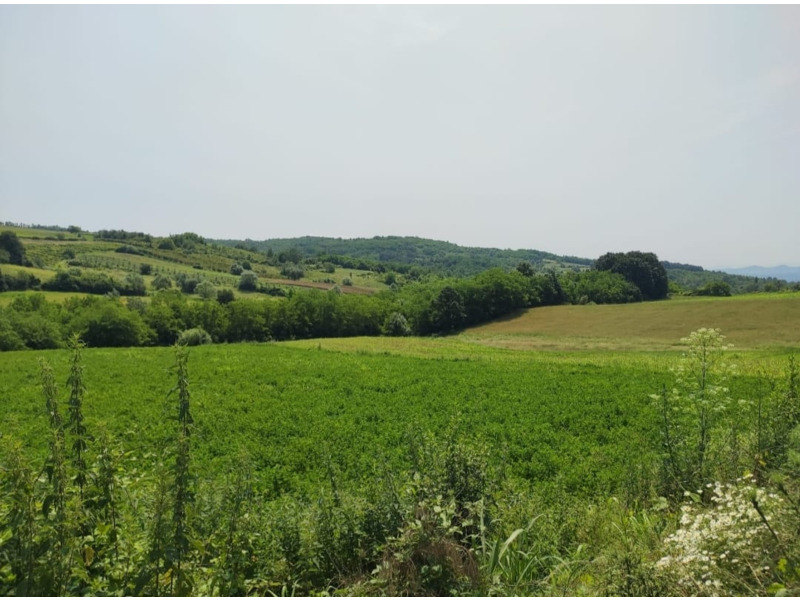 Недвижимость - Дома - 2 дома (44 и 148 кв.м.) на участок 26 соток.