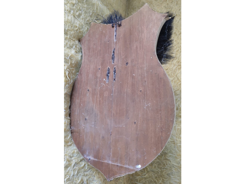 Хобби и отдых - Охота и рыбалка - Продам голову кабана: