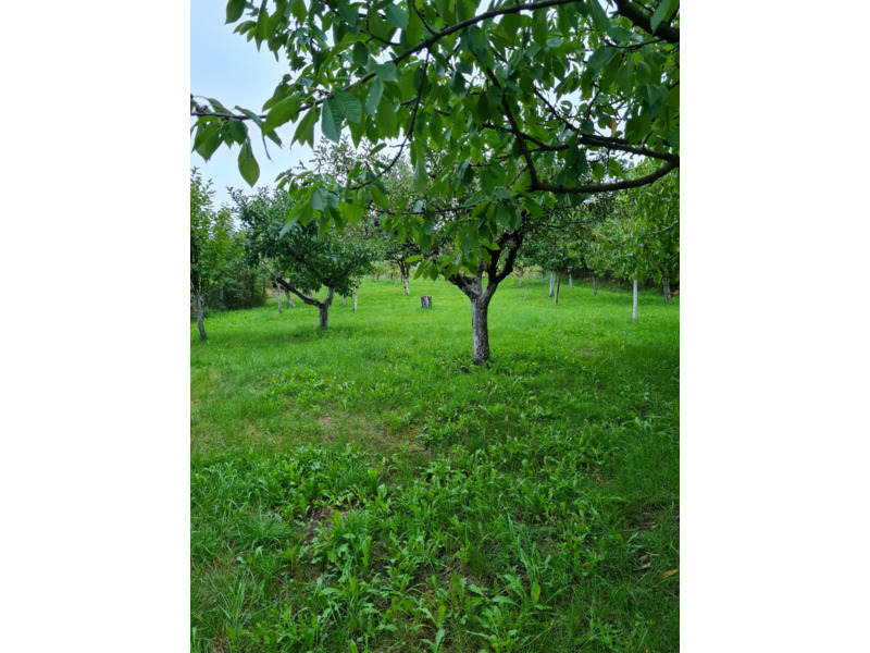 Недвижимость - Дома - Продам дом 2 этажа