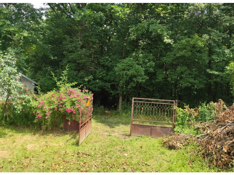 Недвижимость - Дома - Продаётся дом рядом с лесом