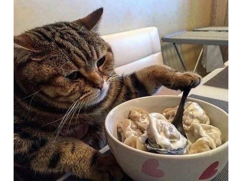 Услуги - Кулинария - Пельмени ручная лепка 